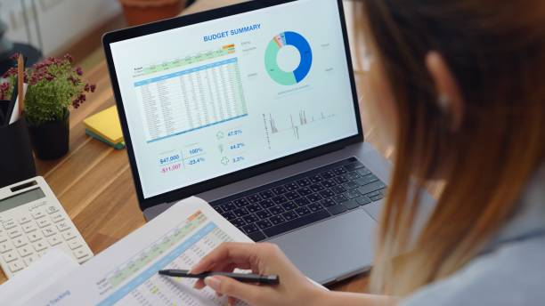Budget Summary on Laptop