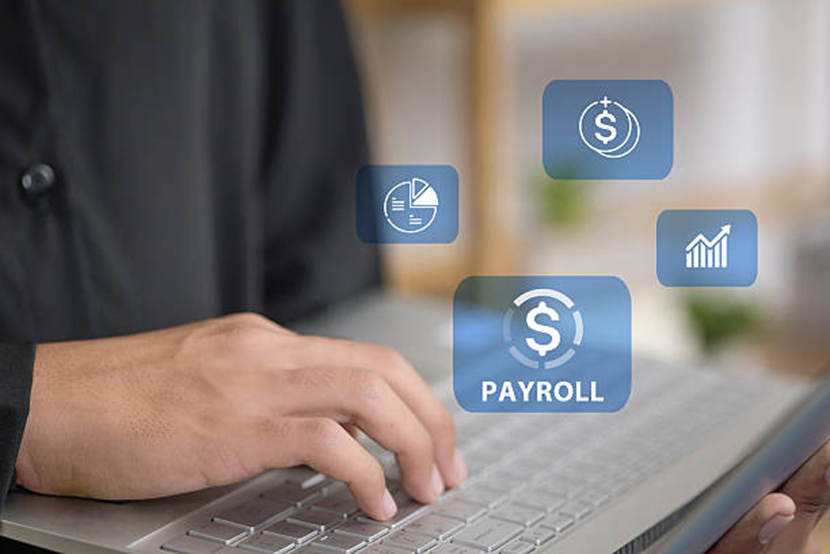 Payroll automation software and digital payroll dashboard