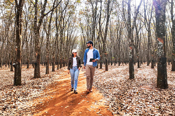 Mobile field teams walking in a forest