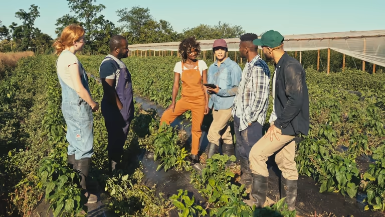 Shift-based team members working together in a field