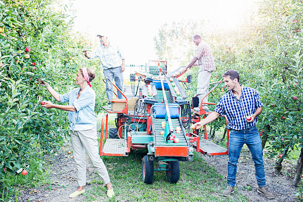 Workers operating machinery and collaborating in an outdoor setting
