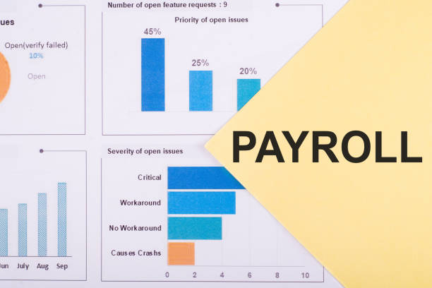 Payroll Export Data Chart