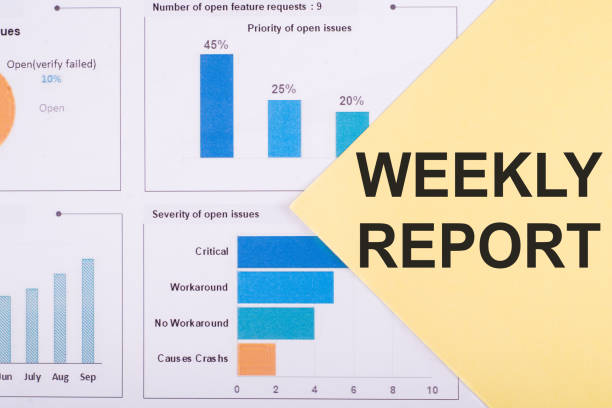 Weekly report visual dashboard