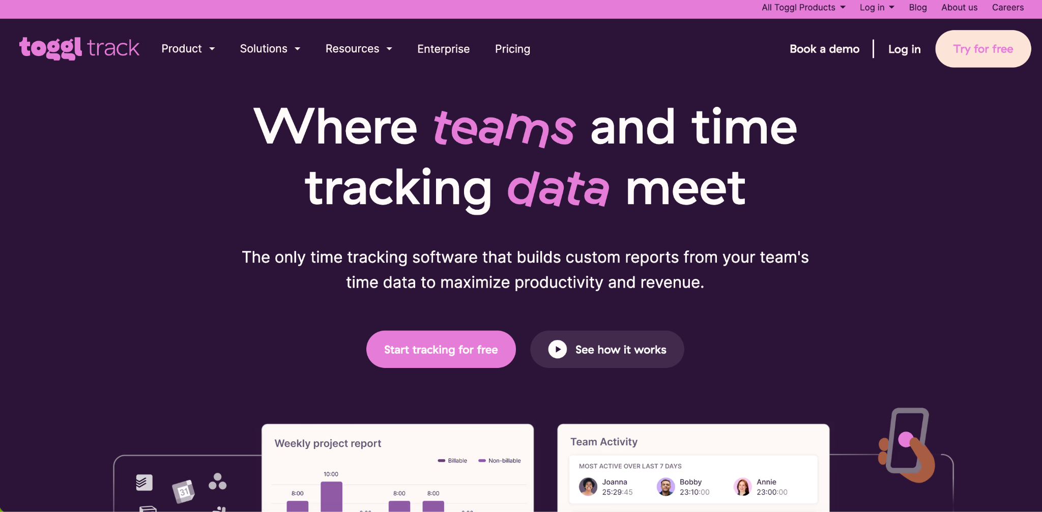 Toggl Track Software Interface