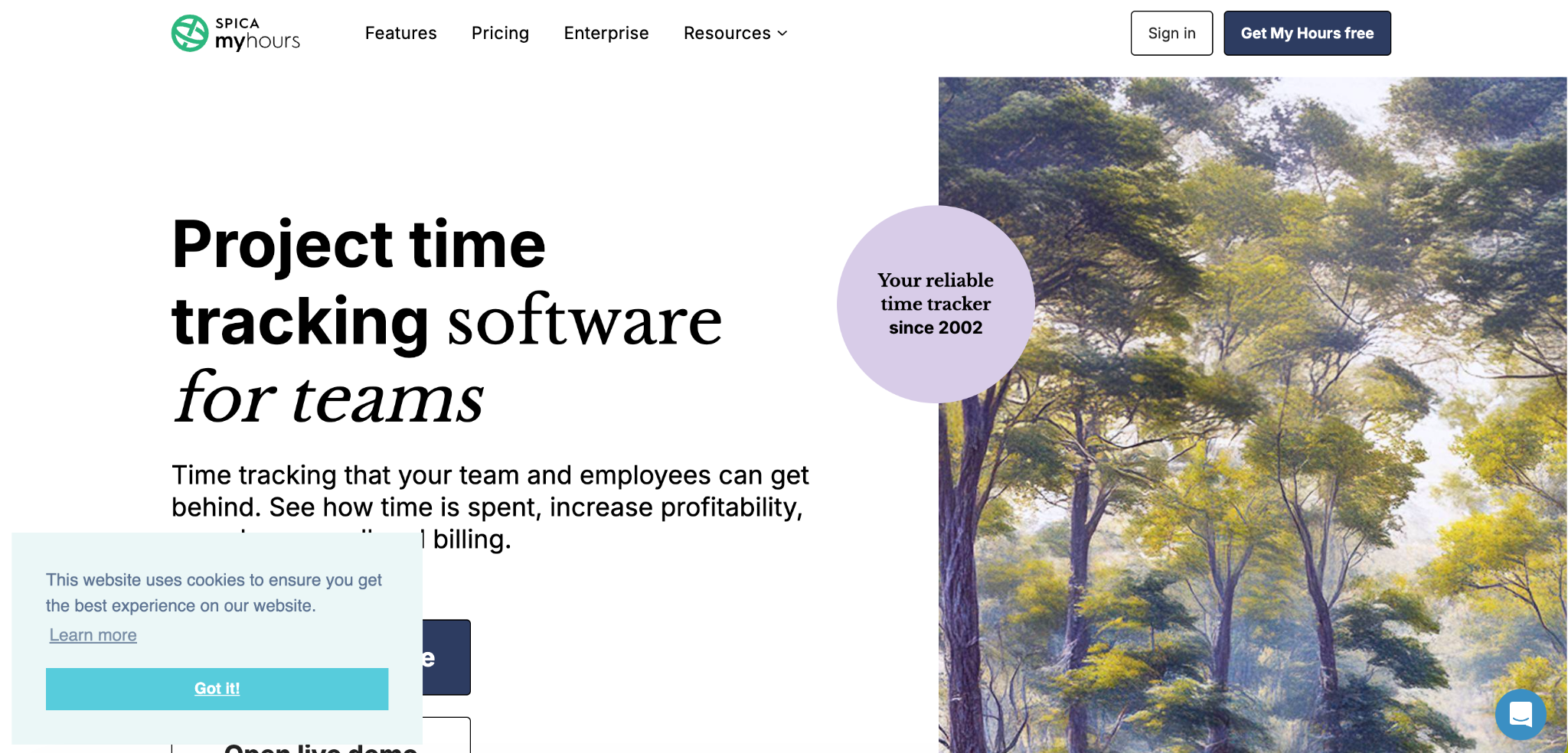 My Hours Software Interface