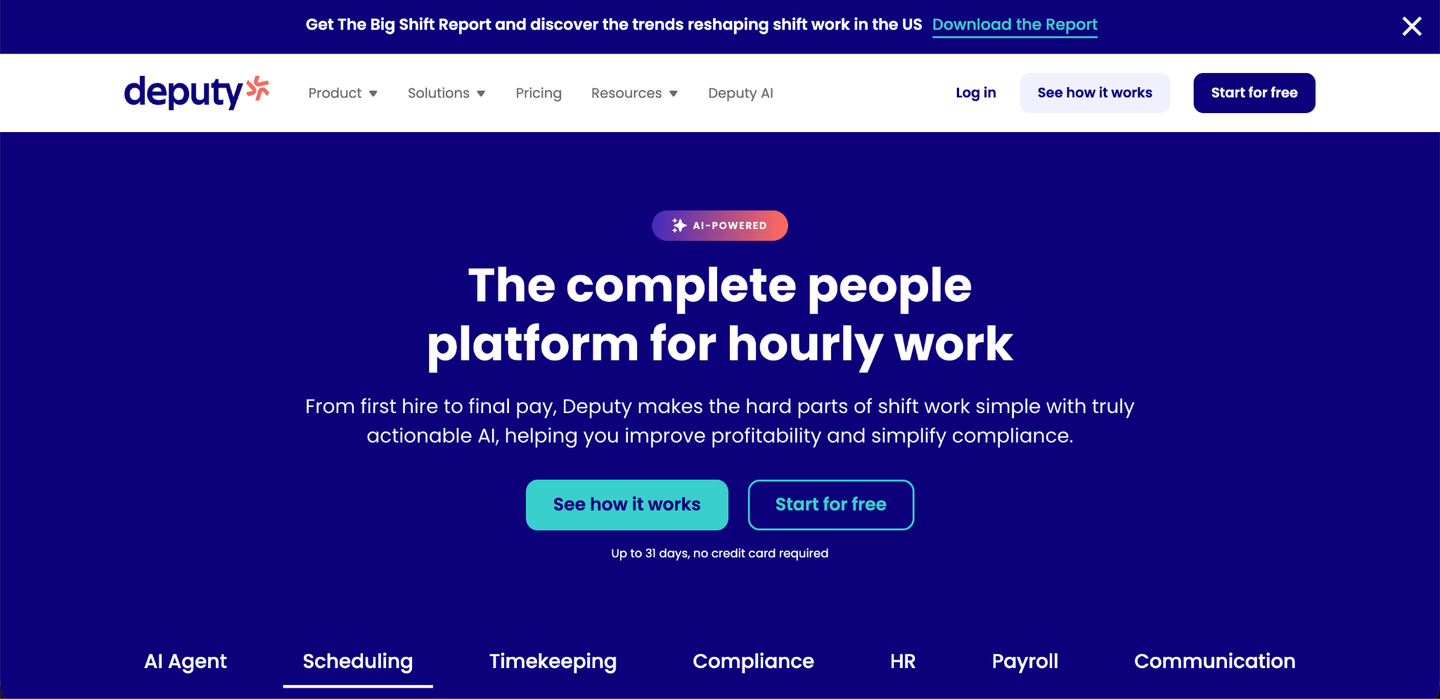 Deputy Software Interface