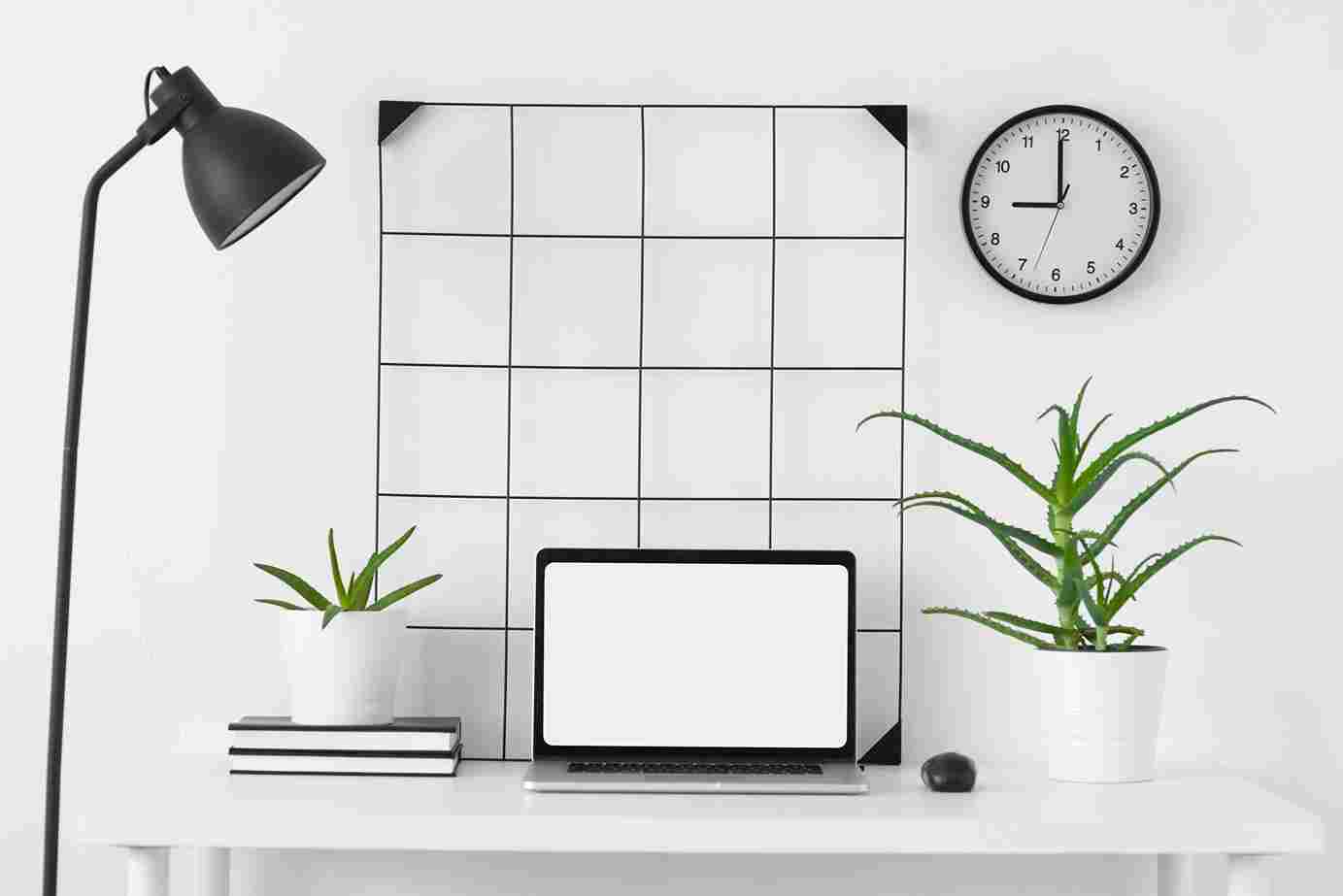 Laptop, lamp, plants, and a wall clock on a desk setup